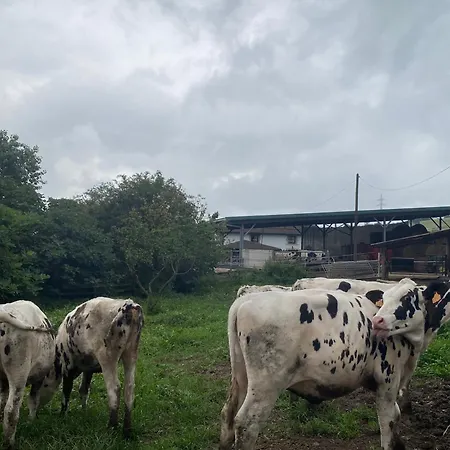 Affittacamere Rural Rumoroso