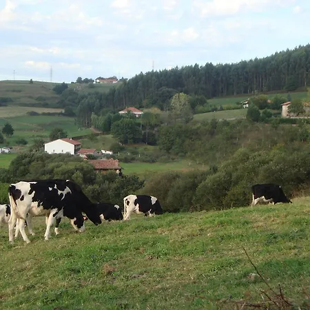 Rural