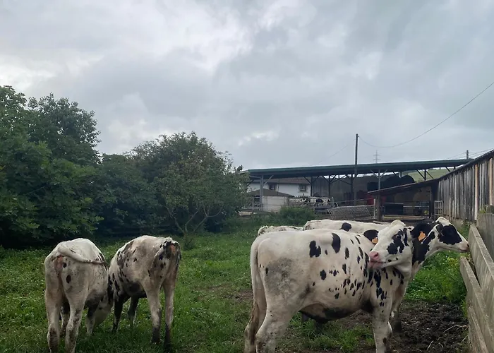 Pensionat Rural Rumoroso